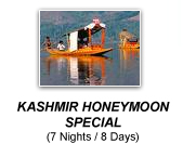 kashmir honeymoon special